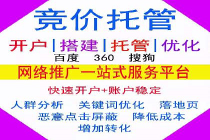 某企业SEM广告投放的ROI提升之路